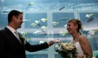 Hochzeit mit Fischen