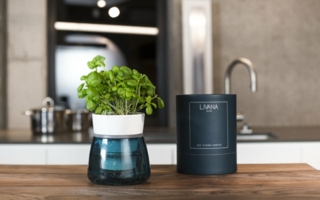 Livana-Home-Kraeutertopf.jpg