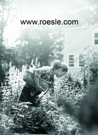 Roesle-Internetauftritt.jpg