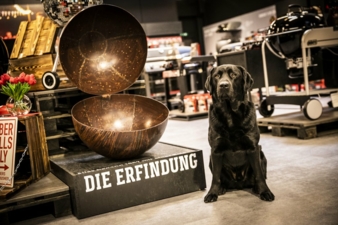 Weber-Store-Ansbach-Hund-Franz.jpg