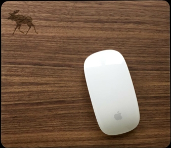 Ethical Style Guide_03