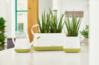 LECHUZA_YULA_Collection_Gruen