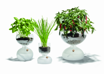 Holmegaard_Gaia_Vaekstglas_Family_01